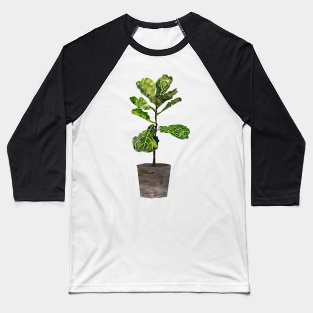 Fiddle-leaf fig Baseball T-Shirt by Babban Gaelg